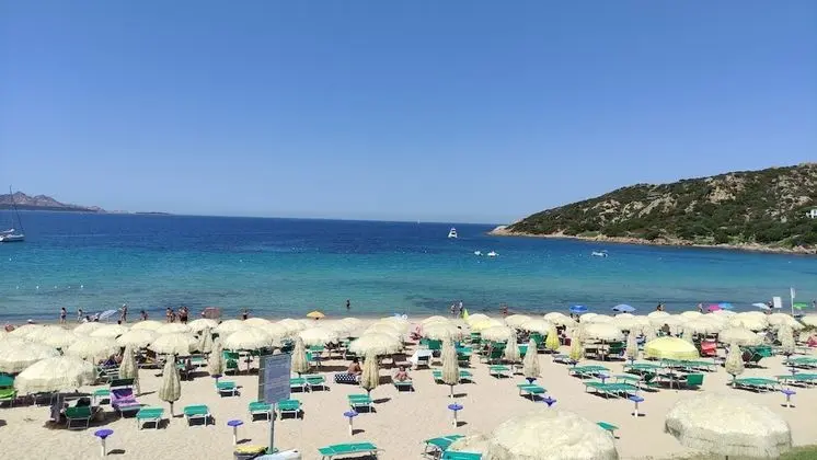 Apart Daire, 2 Yatak Odası, Balkon