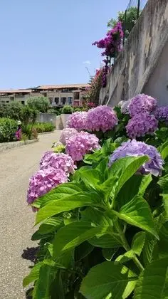 Apart Daire, 2 Yatak Odası, Balkon