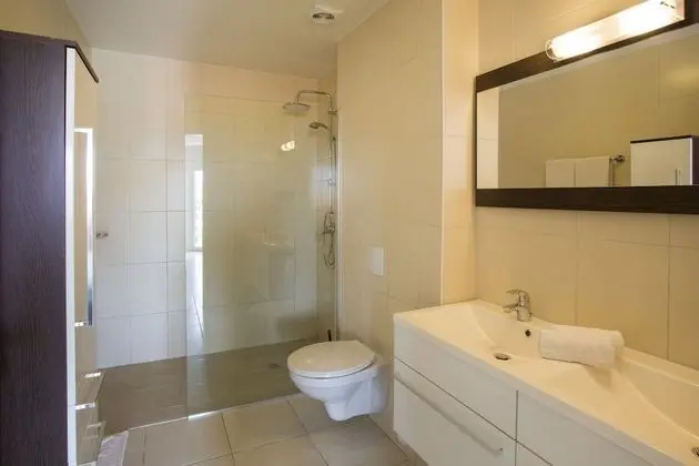 Deluxe Apart Daire, 1 Yatak Odası, Havuz Kullanımı