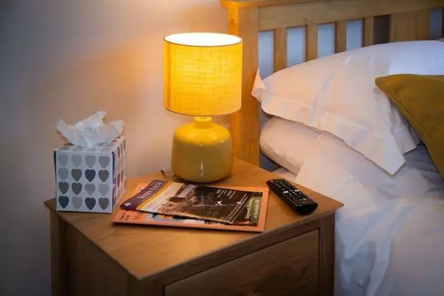 Tek Büyük Yataklı Oda, Banyolu/Duşlu (Room 3)
