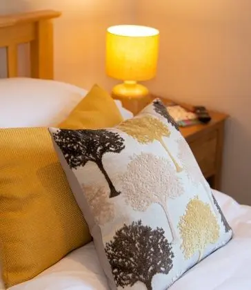 Tek Büyük Yataklı Oda, Banyolu/Duşlu (Room 3)