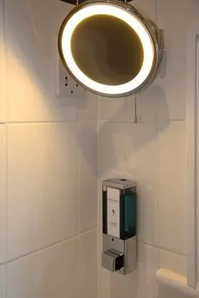 Tek Büyük Yataklı Oda, Banyolu/Duşlu (Room 3)