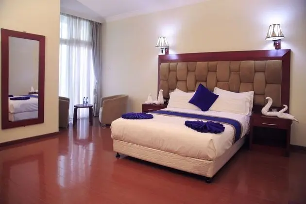 Deluxe Oda, 1 Yatak Odası, Şehir Manzaralı