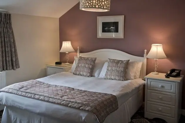 Superior Tek Büyük Yataklı Oda