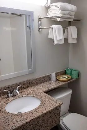 Deluxe Tek Büyük Yataklı Oda, Sigara İçilmez