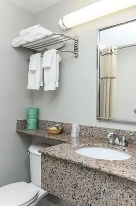 Deluxe Tek Büyük Yataklı Oda, Sigara İçilmez