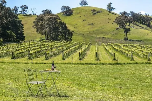 The Blue House at Mountainside Wines