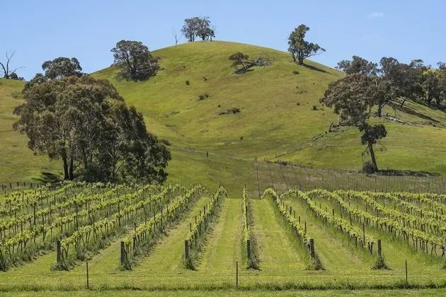 The Blue House at Mountainside Wines