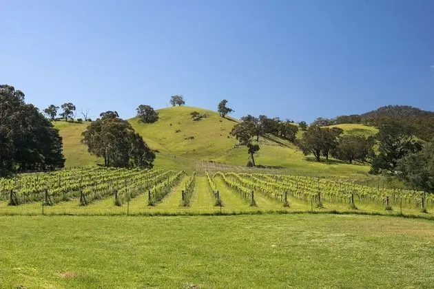 The Blue House at Mountainside Wines