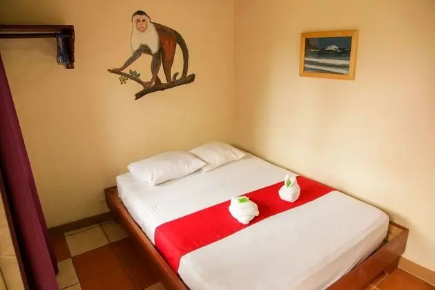 Comfort Büyük Yataklı Tek Kişilik Oda, 1 Büyük (Queen) Boy Yatak