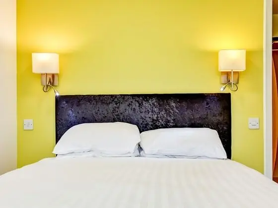 Standard Tek Büyük Yataklı Oda, 1 Çift Kişilik Yatak