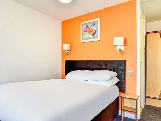 Standard Tek Büyük Yataklı Oda, 1 Çift Kişilik Yatak