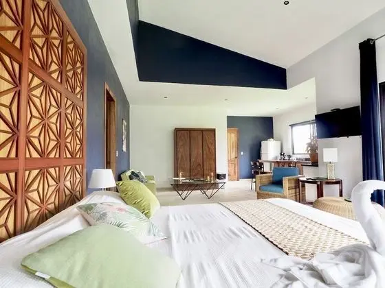 Exclusive Stüdyo Süit, 1 En Büyük (King) Boy Yatak, Balkon, Bahçe Manzaralı