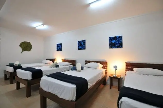 Basic Ortak Ranzalı Oda (Bed in 16-Bed Mixed Dorm)