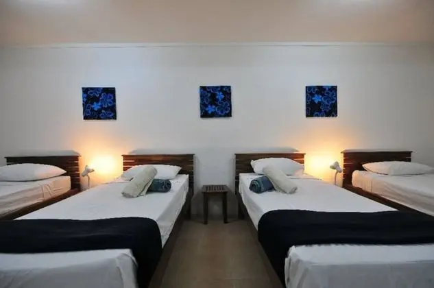 Basic Ortak Ranzalı Oda (Bed in 16-Bed Mixed Dorm)