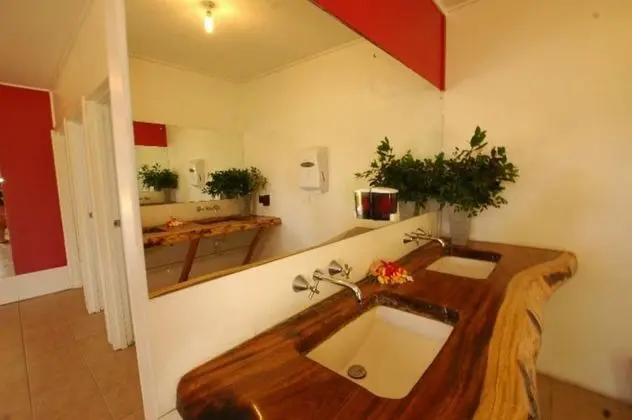 Basic Ortak Ranzalı Oda (Bed in 16-Bed Mixed Dorm)