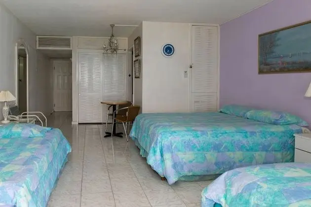 Comfort Stüdyo, 1 Çift Kişilik Yatak, Şehir Manzaralı