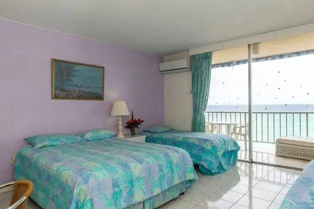 Comfort Stüdyo, 1 Çift Kişilik Yatak, Şehir Manzaralı
