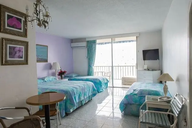 Comfort Stüdyo, 1 Çift Kişilik Yatak, Şehir Manzaralı