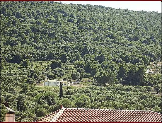 Standard Stüdyo