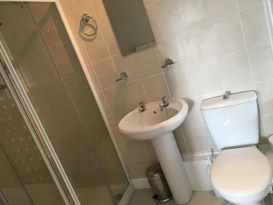 Traditional Tek Büyük Yataklı Oda, Banyolu/Duşlu (Blue Room)