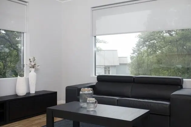 Deluxe Apart Daire, 2 Yatak Odası, Balkon