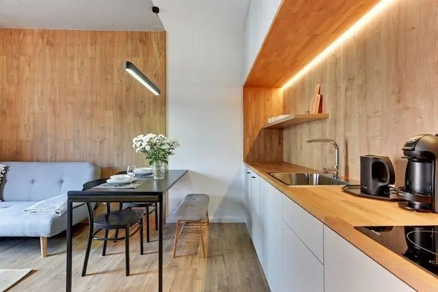 Apart Daire, 1 Yatak Odası, Sauna