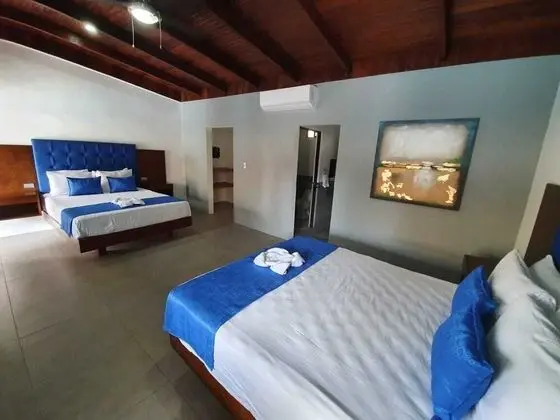 Premium Tek Büyük Yataklı Oda, 2 Büyük (Queen) Boy Yatak, Veranda, Havuz Manzaralı