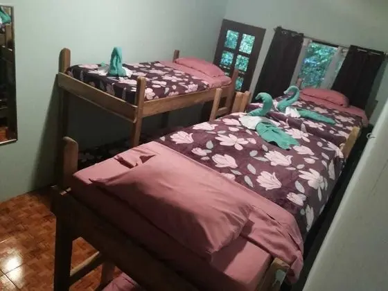 Economy Ortak Ranzalı Oda, Karma Ranzalı Oda, Dağ Manzaralı (3 bunk beds)