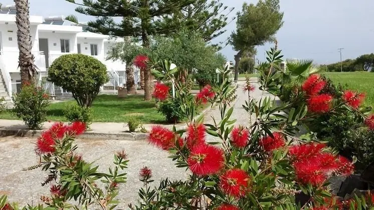 Economy Bungalov