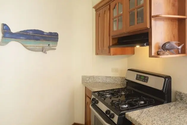 Panoramic Villa, 2 Yatak Odası, Plaj Manzaralı, Denize Sıfır