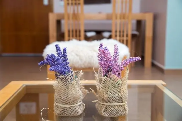 Family Apart Daire, Göl Manzaralı