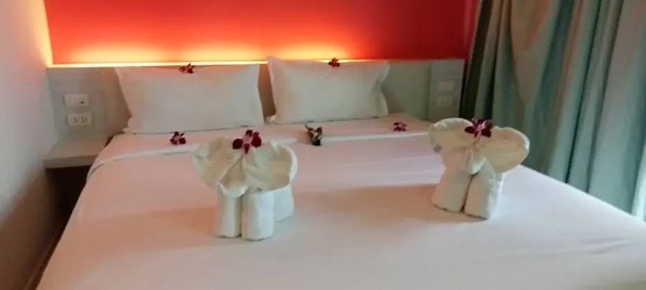 Superior Tek Büyük veya İki Ayrı Yataklı Oda