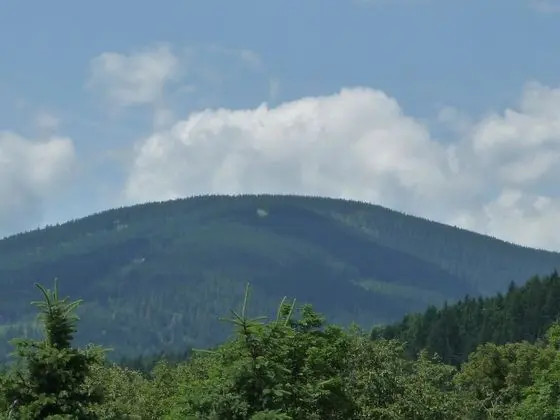 Dört Kişilik Oda, Tepe Manzaralı