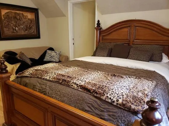 The Forest View Room
