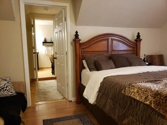 The Forest View Room