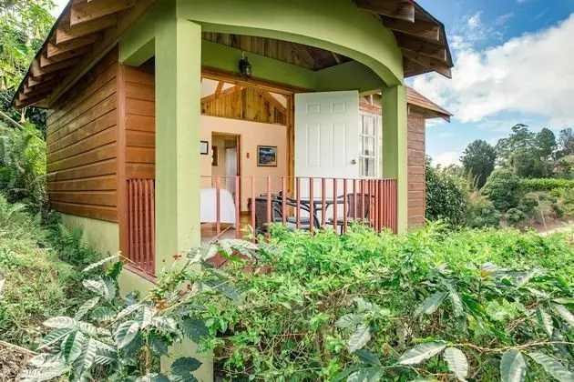 Deluxe Dört Kişilik Oda, 1 En Büyük (King) Boy Yatak ve Çekyat, Sigara İçilmez (Butterfly Cottage)