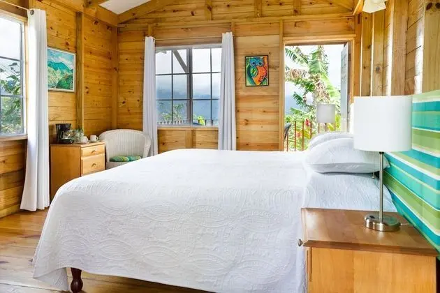 Standard Kır Evi, 1 En Büyük (King) Boy Yatak, Sigara İçilmez (Peacock Cottage)