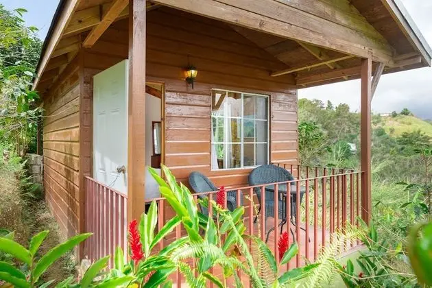 Standard Kır Evi, 1 En Büyük (King) Boy Yatak, Sigara İçilmez (Peacock Cottage)