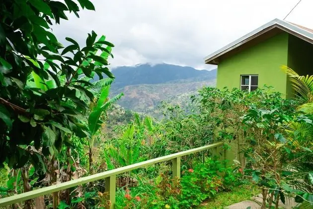 Standard Kır Evi, 1 En Büyük (King) Boy Yatak, Sigara İçilmez (Peacock Cottage)