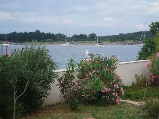 Apart Daire (Blue - right at the beach - A3(2+2))