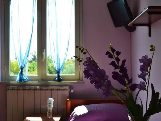 Oda, 1 Yatak Odası, Balkon