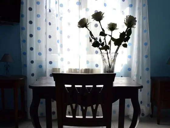 Oda, 1 Yatak Odası, Balkon