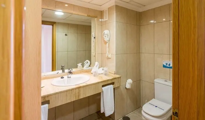 Büyük Yataklı Tek Kişilik Oda (1 Adult)