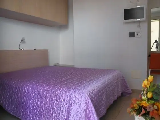 Basic Tek Büyük Yataklı Oda, 1 Çift Kişilik Yatak