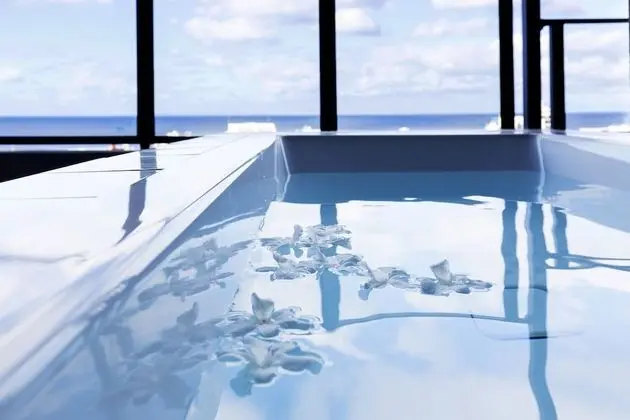 Executive Çatı Katı Süiti (Penthouse), 2 Yatak Odası, Sigara İçilmez, Okyanus Manzaralı
