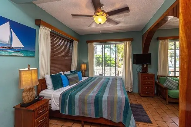 Partial Ocean View Suite, 1 King Bed (#5)