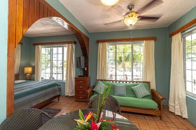 Partial Ocean View Suite, 1 King Bed (#5)