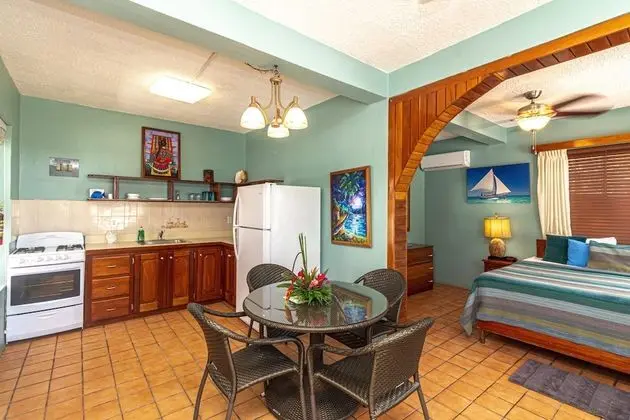 Partial Ocean View Suite, 1 King Bed (#5)