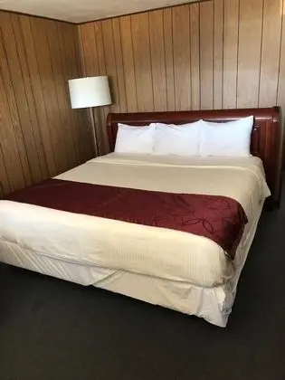 Basic Tek Kişilik Oda, 1 En Büyük (King) Boy Yatak